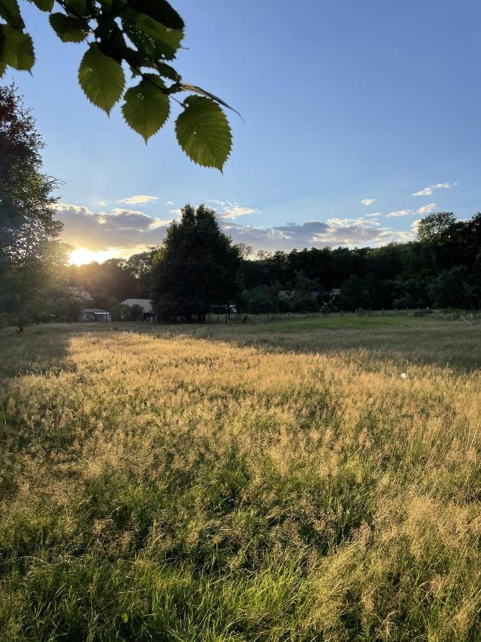 Spreewaldhaus Am Landgut - Pretschen Appartement Markische Heide Buitenkant foto